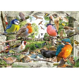 Ravensburger Our Feathered Friends 1000 Piece Jigsaw Puzzles for Adults and Kids Age 12 Years Up - Animals & Birds