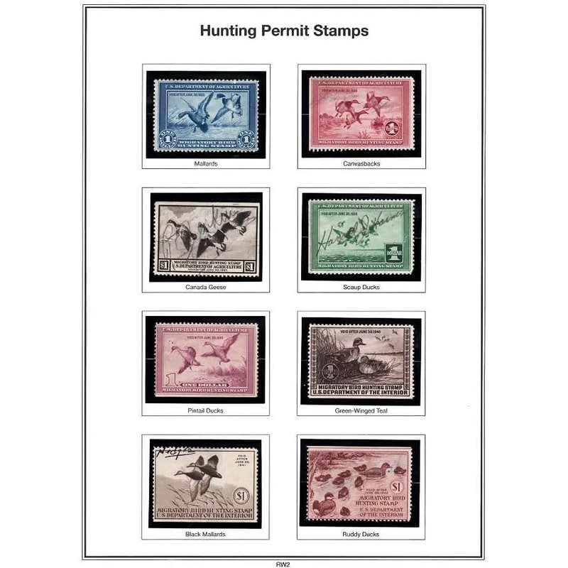 Showgard Strip Style Clear Stamp Mounts Size 61