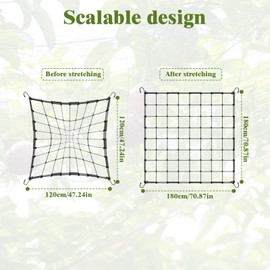 Dunkwckore Trellis Net, Beans Trellis, Plant Net, Large Mesh Size, Climbing Plant Net, 120 x 120 cm, Grid Net Grow Elastic Trellis with 4 Hooks, Trellis Supports Can Be Stretched to 180 x 180 cm