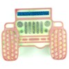 (300 Design Optional) MUBYOK M14 SUV Silicone Freshie Mold for