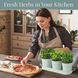 FGXY Set of 3 Teal Blue Herb Planter Indoor, Herb Pots for Kitchen Windowsill, Decorative Metal Potted Planters, Suitable for planting flowers and grass and organizing small household items