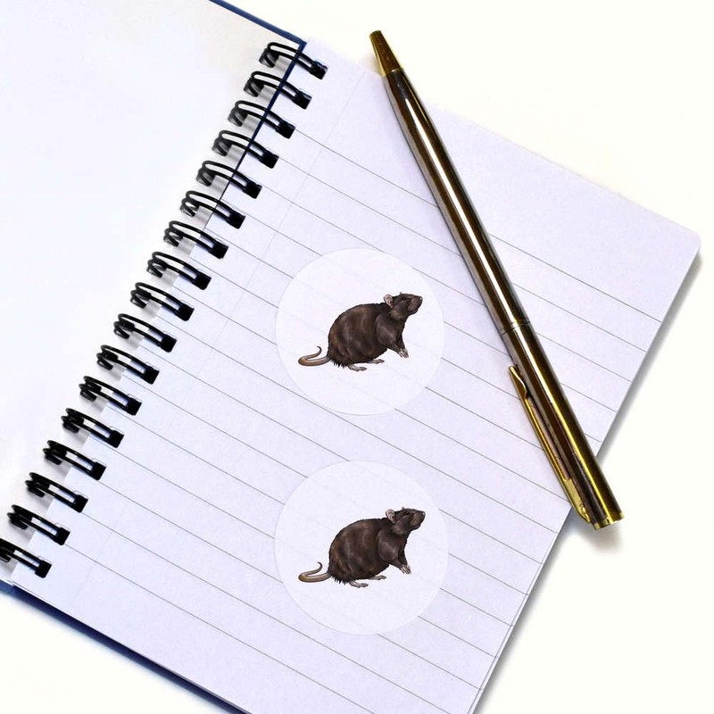 24 x 40mm Round 'Brown Rat' Stickers (SK00049953)