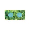 Modern Sprout’s Organic Herb Grow Kit (2 PACK) (Basil and