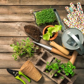 Relaxdays Propagation Pots Set of 24, Propagation Plates for 240 Seedlings, Paper, Biodegradable, HBT: 5.5 x 22 x 8.5 cm, Natural