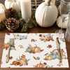 Bonhause Fall Pumpkin Placemats Set of 4, 12x18 Inch Autumn