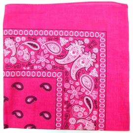 Kaiser Novelty Bandanas Paisley Cotton Bandanas (Hot Pink 22 X 22 in)
