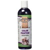 Envirogroom Color Fixation 17 oz