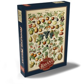 Fructus - Fruits For All, Vintage Art Poster, Adolphe Millot - Premium 1000 pieces Puzzle - MyPuzzle special collection from Havana Puzzle Company