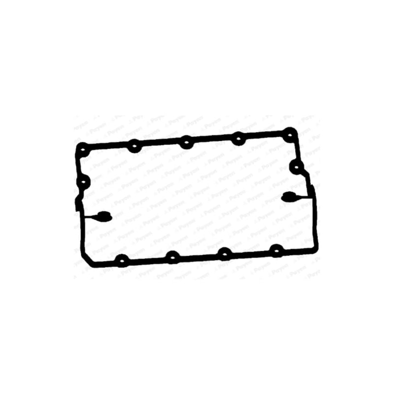Payen JM5120 Gasket, Cylinder Head Cover