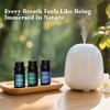 Essential Oil Set, Blended Essential Oils for Diffusers for Home