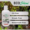 Environmental Plant Management ECO Shine | Oil-Free Leaf Shine Spray