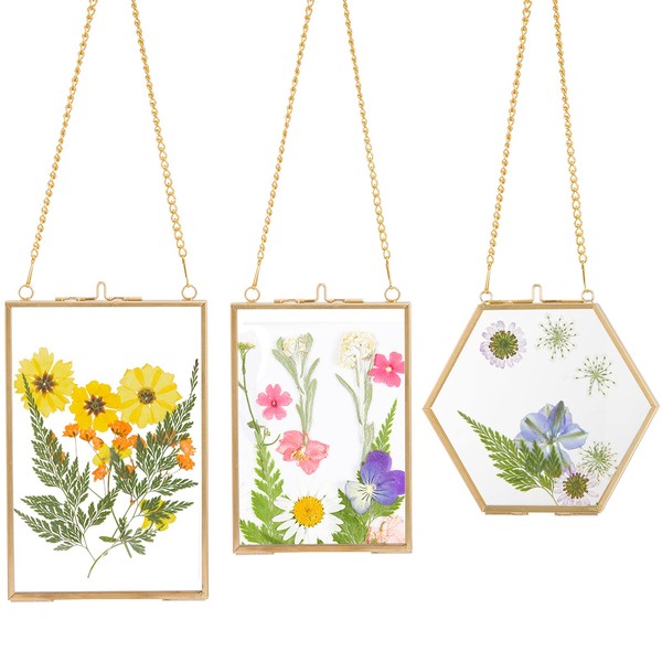 3 Packs Pressed Flowers Glass Frames- Golden Hanging Glass Picture Frames with Chain Floating DIY Artwork Display Frames in 3 Sizes for Dried Plant Specimen Kids Art Photo Display Gallery Wall Decor