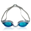 Water Gear Vector Anti-Fog Goggle, Teal Lens/Silver STRP