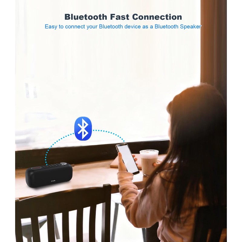 Portable Bluetooth Speaker FM Radio Digital, Support USB/SD Card MP3