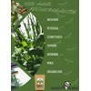 GreenPanda Fungus Gnats Remedy - 250 g Substrate for Fighting