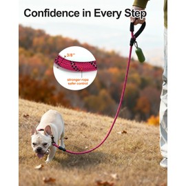 Joytale Dog Leash for Small Dogs, Heavy Duty Nylon Leashes with Comfortable Padded Handle and Highly Reflective Threads, Ideal for Walking and Training, Hotpink, 5'×3/8''