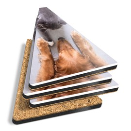 4 x Triangle Coasters - Labrador and British Grey Cat Cork Backed MDF Glossy Tea Coffee Accessory #21418