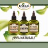 Difeel Champú Castor Pro-Growth 33.8 Oz. - Fabricado con Aceite