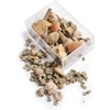 Namvo Fossil and Rock Box Set for School Geological Education