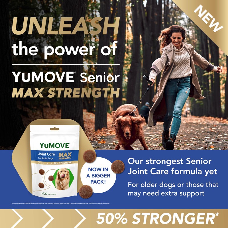 YuMOVE Senior Max Strength for Dogs Daily Bites 120 pack