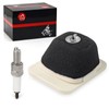 Air Filter Element Assembly & Spark Plug For YAMAHA TTR125