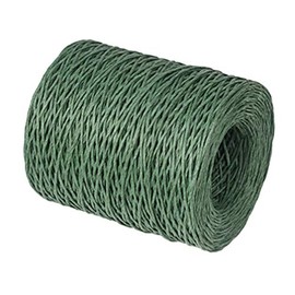 Healifty Alambre Floral Alambre de Vid Alambre de Unión Alambre Rústico Alambre de Envoltura Alambre Materiales de Embalaje Floral para Ramos de Flores 1 Rollo Verde