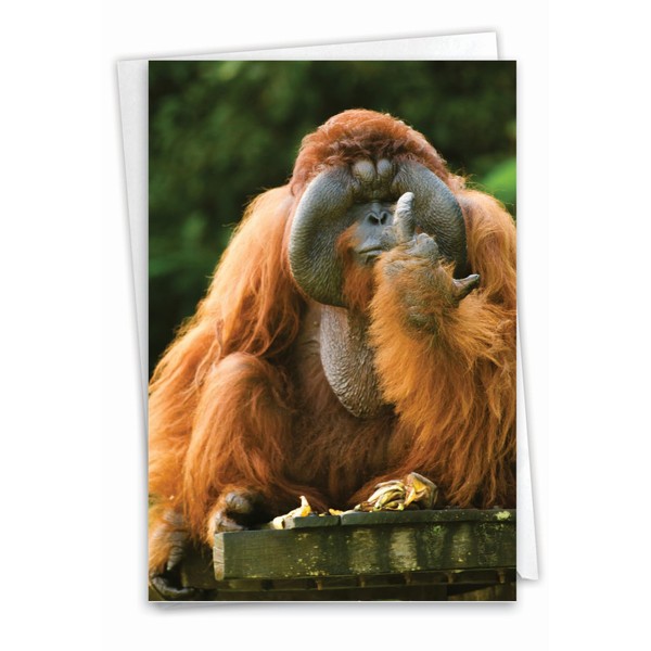 NobleWorks - Birthday Greeting Card with 5 x 7 Inch Envelope (1 Card), Fun Animal Bday Celebration - Flipping Monkey - Orangutan C9516DBDG