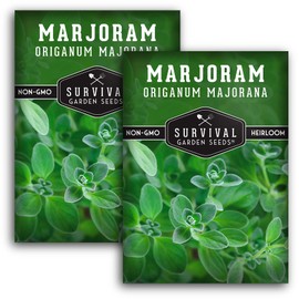 Survival Garden Seeds - Sweet Marjoram Seed for Planting - 2 Packets with Instructions to Plant & Grow Origanum Majorana Herbs in Your Home Vegetable Garden - Non-GMO Heirloom Variety - Garden Plant