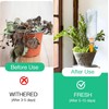 Watering System Potted Plants, Pack of 18 Balcony Watering System,