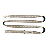 RC Pets - Correa para Perro de 1,27 cm x