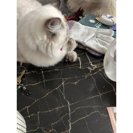 Unbranded YOU & YOUR KITTY WILL LOVE IT! KITTIES GOTTA HAVE IT! TWINE TOY TREATED!