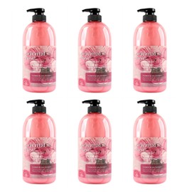 fruit country Kwailnara Body Fran Oriental Rose Shower Gel 732g 6 packs / 과일나라 바디프랜 오리엔탈 로즈 샤워젤 732g 6개입