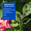 BioAdvanced All-in-One Rose and Flower Spray, Fertilizer, Insect Killer and