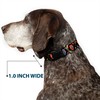 Buckle-Down Plastic Clip Collar - Colorful Calaveras Black/Multi Color -