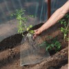 10 Pcs Root Guard Gopher Proof Wire Basket Stainless Steel