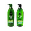 Mise-en-scène Oily Scalp Sebum Care Green Tea Shampoo Rinse Advanced / 미쟝센 지성 두피 피지 케어 그린티 샴푸 린스 고급
