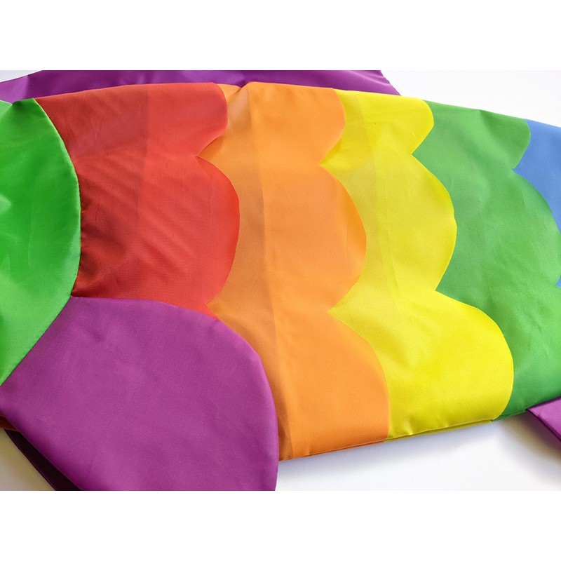 Madrona Brands Rainbow Fish Windsock | Durable Outdoor Hanging Decoration