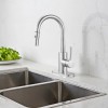 VEVOR Single Handle Sink Faucet Brushed Nickel Pull-Down Kitchen Sink