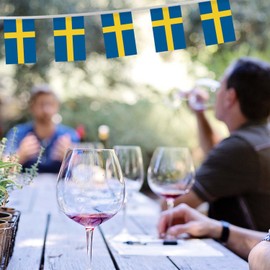 32FT Sweden Pennant Small Flag Bunting,30 PCS Mini String Banner Stripes Swedish Decor Rectangle for Holiday Restaurant Home Party School