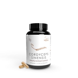 Pilze Wohlrab | Cordyceps Kapseln hochdosiert | 60 Stück | 350 mg Cordyceps sinensis Extrakt je Kapsel | Bio Acerola Vitamin C
