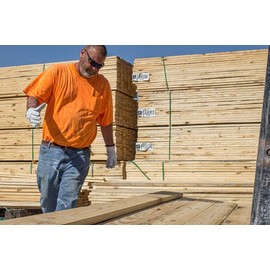 Radians Premium Goatskin Driver - Size L, 12 Pack, White