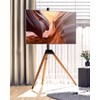Ergounion Tripod TV Stand for 32-75 Inch Screen up to