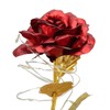 Rose in Glass Dome Lucky Beautiful Symbolism Romantic Enchanted Rose