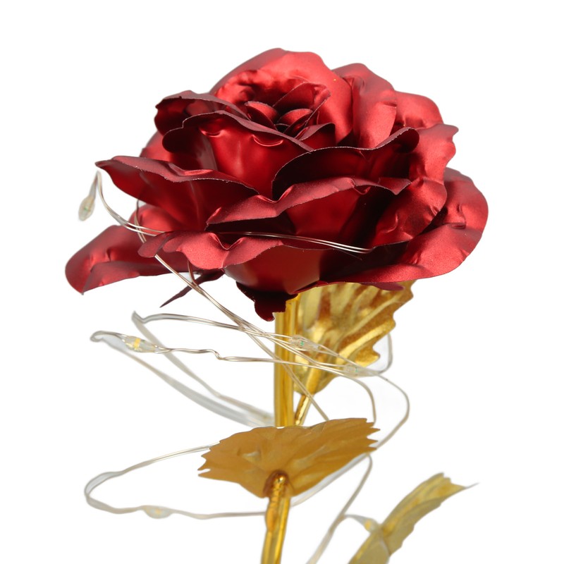 Rose in Glass Dome Lucky Beautiful Symbolism Romantic Enchanted Rose