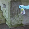 Nihon Miracon Sangyo Outdoor Cleaning Exterior Algae, Moss, Mold Remover