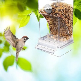 Acrylic No Mess Bird Feeders Automatic Parrot Feeder Drinker Food Container For Perch Budg