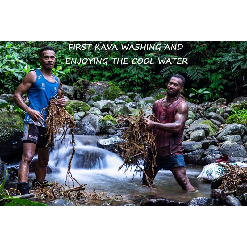 Heritage Kava Premium Fiji Noble Kava Root Powder 16 Oz/1LB