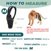 Dog Knee Brace for Back Leg Fit Large Middle Small