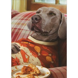Avanti Press Tired Dog with Empty Pie Plate on Red Plaid Couch Funny/Humorous Thanksgiving Card