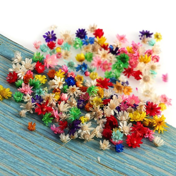 100 Mixed Dried Flowers Dark Flowers 5-12mm Mini Small Pressed Flowers DIY Craft Pendants for Handicrafts Photography Props Dry Flowers Nail Pendant